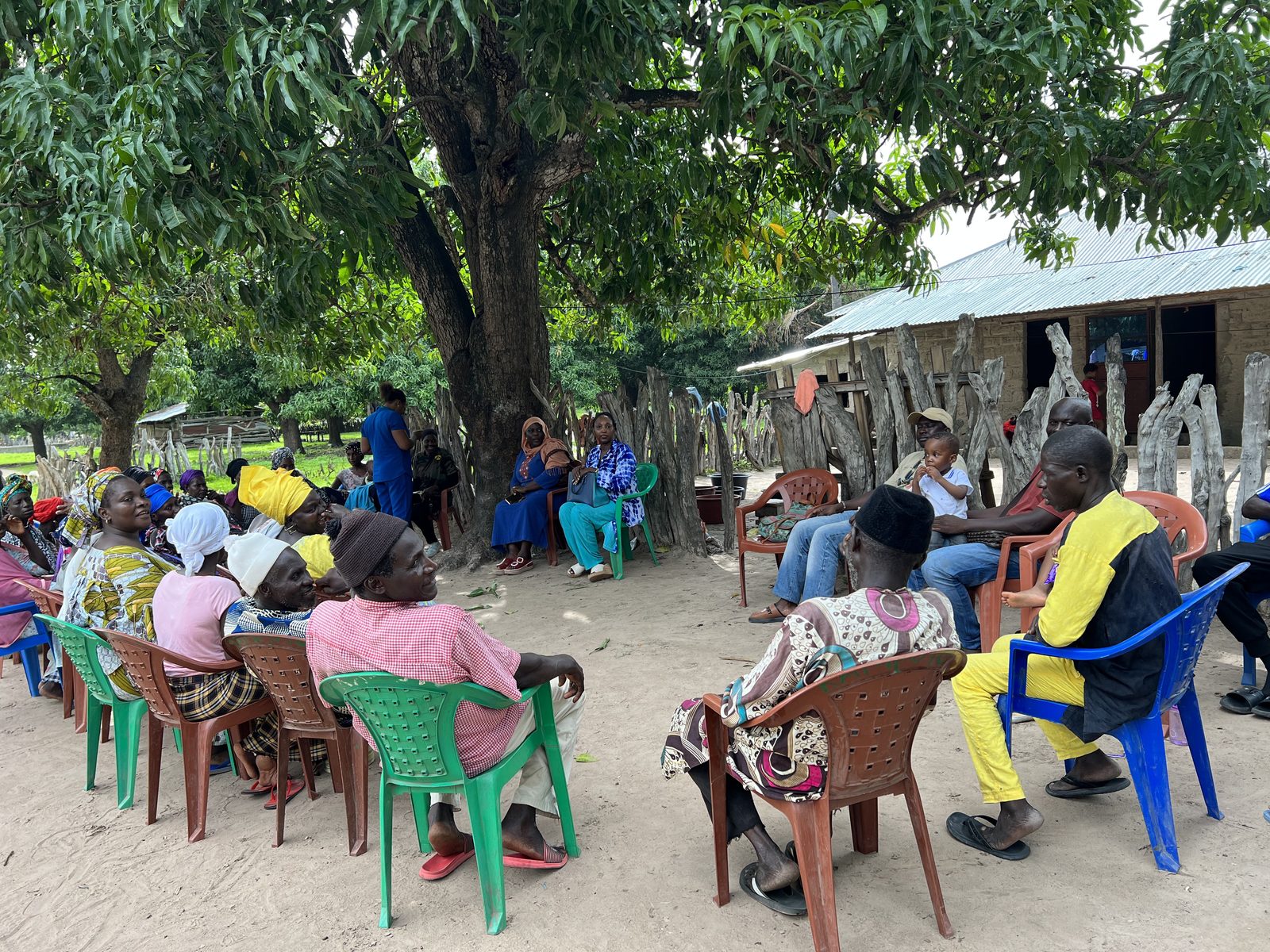 Community consultation meeting under the trees