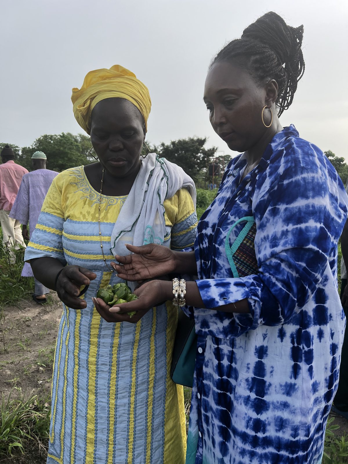 Reviewing a handful of harvested crops with a farmer